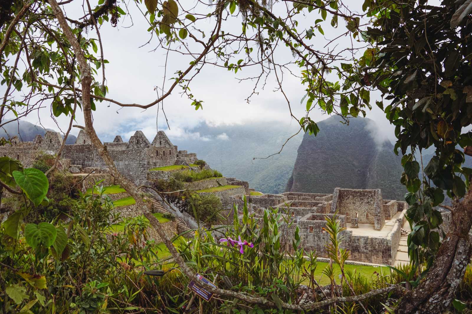 Inca Jungle - Machupicchu 3D/2N